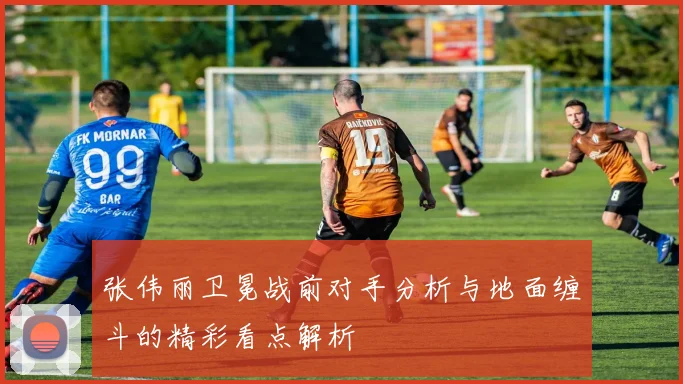 张伟丽卫冕战前对手分析与地面缠斗的精彩看点解析